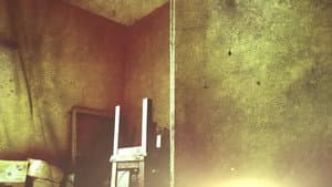 Watch If You Dare — foto 2