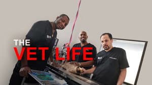 The Vet Life — foto 7