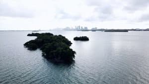 Remembering Surrounded Islands — foto 5
