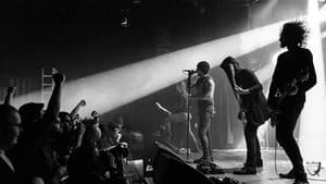 Swallow The Sun: 20 Years of Gloom, Beauty, and Despair - Live in Helsinki — foto 1