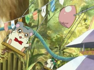 El parque de los Ham-hams