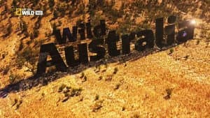 Australia salvaje — foto 1