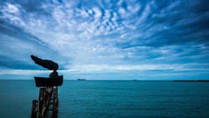 A Mulher Barco — foto 1