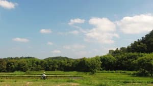 물의 기억 — foto 2