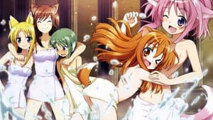 DOG DAYS — foto 3