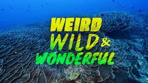 Weird, Wild, and Wonderful — foto 1
