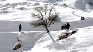 İz - Rêç — foto 3