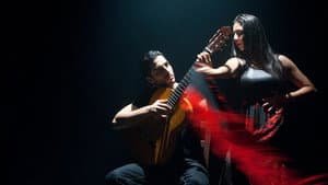 Flamenco Movie — foto 1