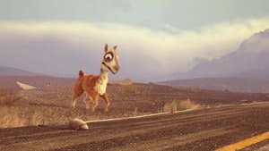 Caminandes: Llama Drama — foto 1