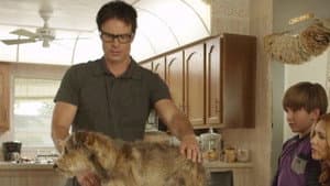 Robo-Dog — foto 1