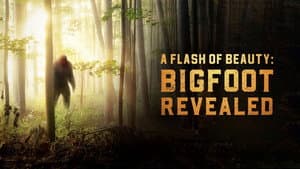 A Flash of Beauty: Bigfoot Revealed — foto 1