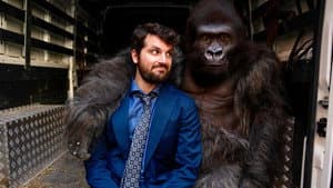 Attenti al gorilla — foto 2
