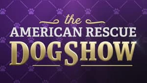 2022 American Rescue Dog Show — foto 3