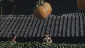 聖処女縛り — foto 5