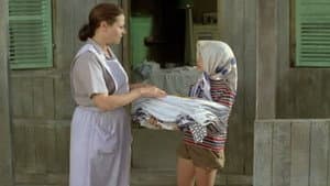 הקיץ של אביה — foto 2