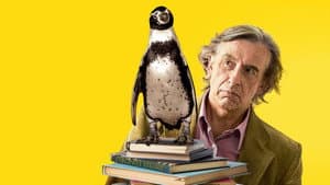 Lecciones de un pingüino — foto 8