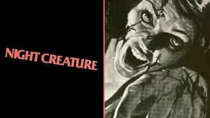 Night Creature — foto 5