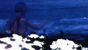 Floating under a Honey Tree — foto 1