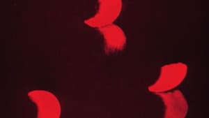 Lichtspiel: Opus I — foto 1