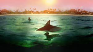 Sharks vs. Dolphins: Bahamas Battleground — foto 1