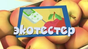 Episodio 35