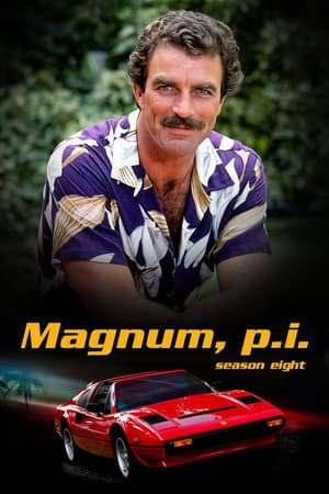 Temporada 8