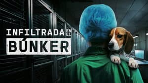 Infiltrada en el búnker — foto 2