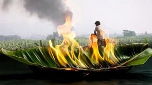 வாழை — foto 1
