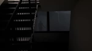 Chase — foto 3