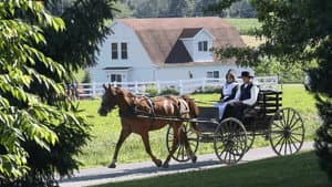 En Terre Amish — foto 1