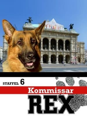 Temporada 6