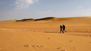 Desert Runners — foto 3