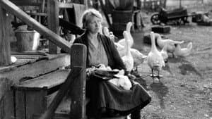The Goose Woman — foto 1