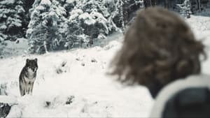 Der Wolf — foto 1