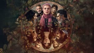 توابع — foto 1