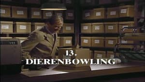 Episodio 13