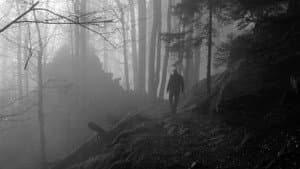 Patho Film, Wolfelsgrund — foto 8
