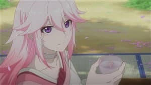 Sakura Sake al amanecer