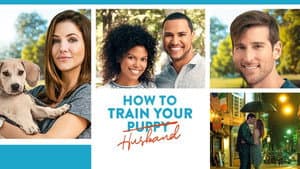 Cómo Entrenar a tu Esposo — foto 5