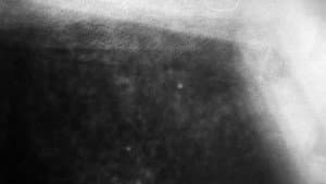 Vampiro — foto 1