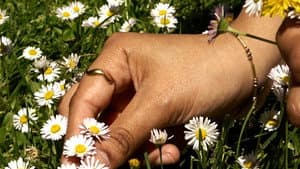 Hand Picked — foto 1