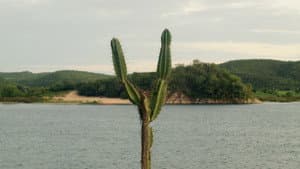 Coleções — foto 1