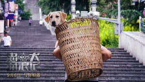 忠犬流浪记 — foto 1