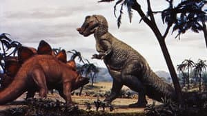 The Animal World — foto 3