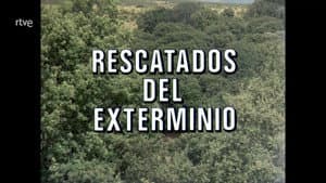 Episodio 75