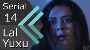Episodio 14