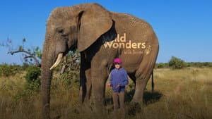 Wild Wonders with Brooke — foto 1