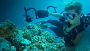 Sea of Hope: America's Underwater Treasures — foto 4