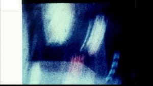 Echoed Silence — foto 8
