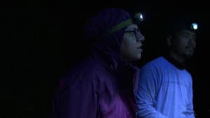Nocturnes — foto 5